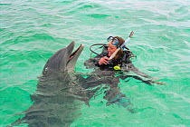 Charlotte Uhlenbroek swimming with Bottlenose dolphin, Bahamas, 2002