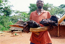 Man holding tusks and meat for sale from poached Elephant, Central African Republic