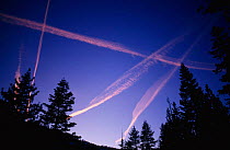 Vapour trails in sky at sunset, Yosemite, California, USA