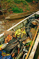Bushmeat (caiman, monkey, tortoise, peccary) in canoe, Amazonia, Peru.