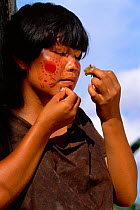 Campa indian painting her face with achiote, Lower Urubamba river, Amazonia, Peru