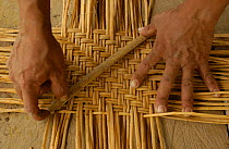 Basket making by Quechua indian, Yasuni NP, Ecuador, Amazonia