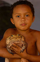 Child holding Roccoco toad {Bufo paracnemis} Cerrado, Piaui state, Brazil Marcio d'Oliviera
