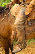 Leather chaps of Brazilian 'Vaquieros' cowboy, Caatinga, Piaui State, NE Brazil