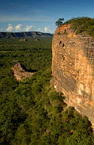 Cerrado landscape, Piaui state, Brazil