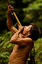 Huaorani indian man hunts with blow gun, indigenous rainforest tribe, Napo Province, Ecuador