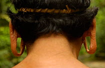 Huaorani indian back of head with extended ear lobes, Napo Province, Ecuador. Tepa boy