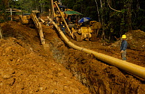 Oil pipeline, rainforest, Napo province, Ecuador, takes oil to coast for export