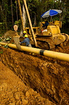 Oil pipeline, rainforest, Napo province, Ecuador - takes oil to coast for export