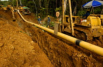 Laying oil pipeline in rainforest to take oil to coast, Napo province, Ecuador.