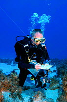 Diver surveying coral reef, Bounty Bay, Pitcairn Island, South Pacific.