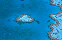 Aerial view of the Heart Reef, Hardy reef, Great Barrier Reef, Queensland, Australia