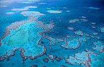 Aerial view of Hardy Reef, Great Barrier Reef, Queensland, Australia
