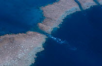 Aerial view of channel through Hardy reef, Great Barrier Reef, Queensland