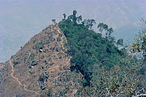 Wall separating protected and unprotected hillside on edge of Kathmandu valley, Nepal
