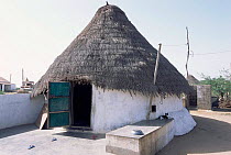Thatched village house, Kutch, Gujarat, India