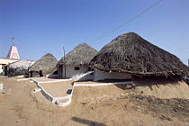 Thatched village houses, Kutch, Gujarat, India