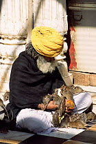 Holy man with temple rats, Karni Mata temple, Deshnoke, Bikaner, Rajasthan, India