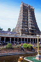 The Golden Lotus Tank, Meenakshi Temple, Madurai, Tamil Nadu, India