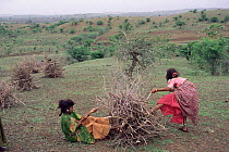 Women collecting firewood, Maharashtra, India