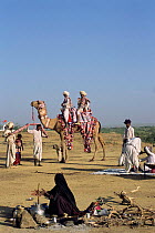 Rabhari family with domesticated camel at camp, Kutch, Gujarat, India