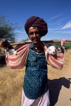 Rabhari shepherd, Kutch, Gujarat, India