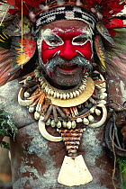Wahgi Valley man in warrior dress, Mountain Hagen, Papua New Guinea