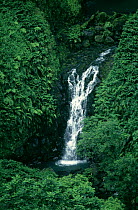 Waterfall in tropical rainforest, Samoa Island, SW Pacific