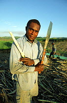 Sugar cane worker, Fiji, South Pacific
