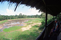 Wildlife viewing area overlooking bai / clearing in forest, Dzanga Sangha