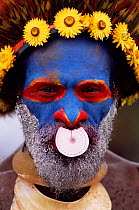 Warrior with painted face, Wahgi valley people, Mt Hagen, Papua New Guinea, 2001