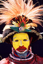Warrior with Bird of paradise feathers in head-dress, Huli people, Papua New Guinea, 2001
