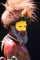 Warrior with Bird of paradise feathers in head-dress, Huli people, Papua New Guinea, 2001