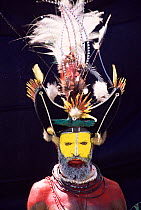 Warrior with feathers in head-dress, Huli people, Papua New Guinea, 2001