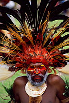 Feathered head-dress of warrior, Wahgi valley people, Mt Hagen, Papua New Guinea, 2001