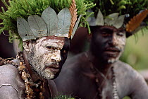Black and white face paint and moss head-dress, Koge, Sinasina, Papua New Guinea, 2001
