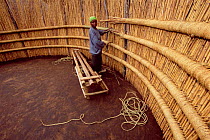 Woman weaving traditional village hut, Mantenga, Swaziland, 2003