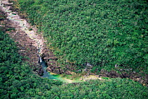 Aerial view river + wooded mountain of Sierra de Tamaulipas sky island, Mexico