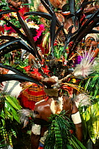 Tribal head-dresses of the Gor people, Kundiawa, Papua New Guinea