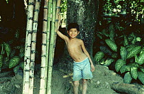 Indian boy beside bamboo canes, Veracruz, Mexico