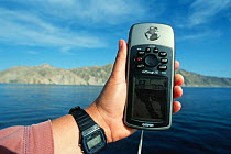 Man holding GPS monitor for recording position of whales, Gulf of California, Mexico