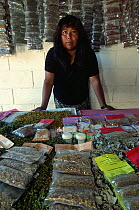 Comca'ac Seri Indian selling medicinal plants, Sonora, Mexico