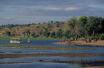 Tourists watching African elephants from boat on Chobe river, Botswana