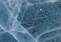 Blue Ice on frozen lake with air bubbles, Antarctica.