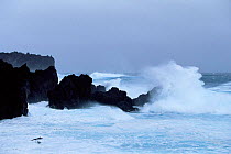 Waves crashing on coast, Marion Island, Prince Edward Is sub-antarctica