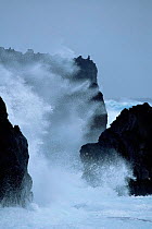 Waves crashing on coast, Marion Is, Prince Edward Is sub-antarctica