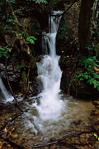 Waterfall, Gombe NP. Tanzania