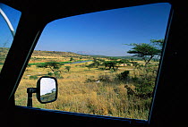 Samburu GR viewed from vehicle window with Cheetah resting in shade, Kenya