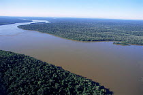 Aerial view of Iguazu river & tropical rainforest, Argentina / Brazil