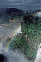 Iguazu falls and rainbow, Iguazu NP, Argentina / Brazil